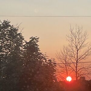 Meet your Posher, Cameron